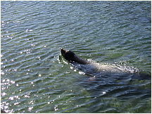 06puntaespinosa.jpg