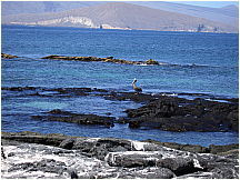 08puntaespinosa.jpg