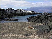 09puntaespinosa.jpg