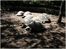 09quitozoo.jpg