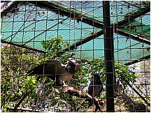 12quitozoo.jpg