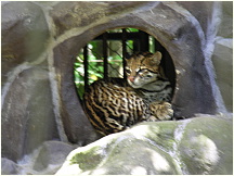 18quitozoo.jpg