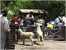 23quitozoo.jpg