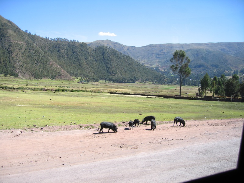 05sacredvalley_.jpg