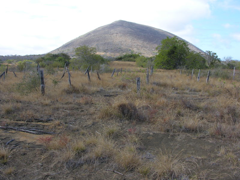 29puertoegas.jpg
