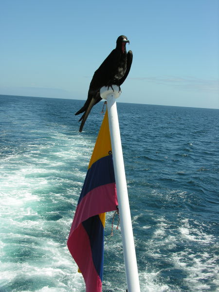42puertoegas.jpg