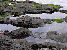 05puertoegas.jpg