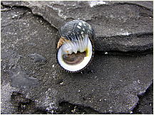 13puertoegas_2.jpg