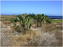 26puertoegas.jpg