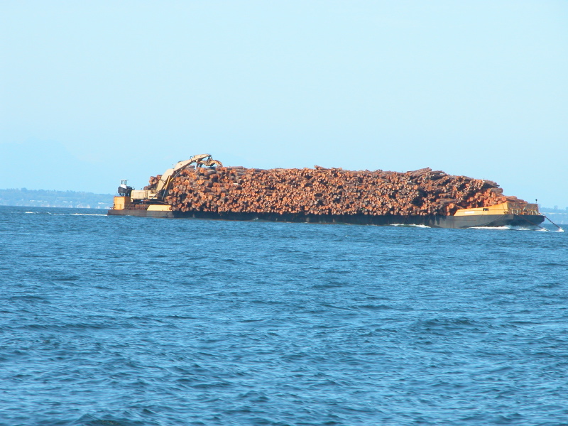 0307tugboatbarge25.jpg