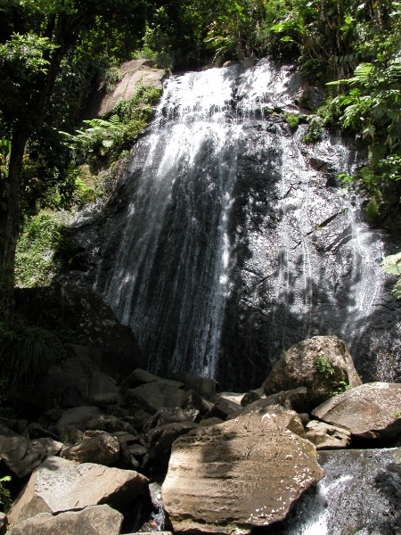 0408_worldrivers19elyunque.jpg