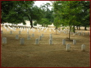 1006_2graves