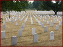 1011graves