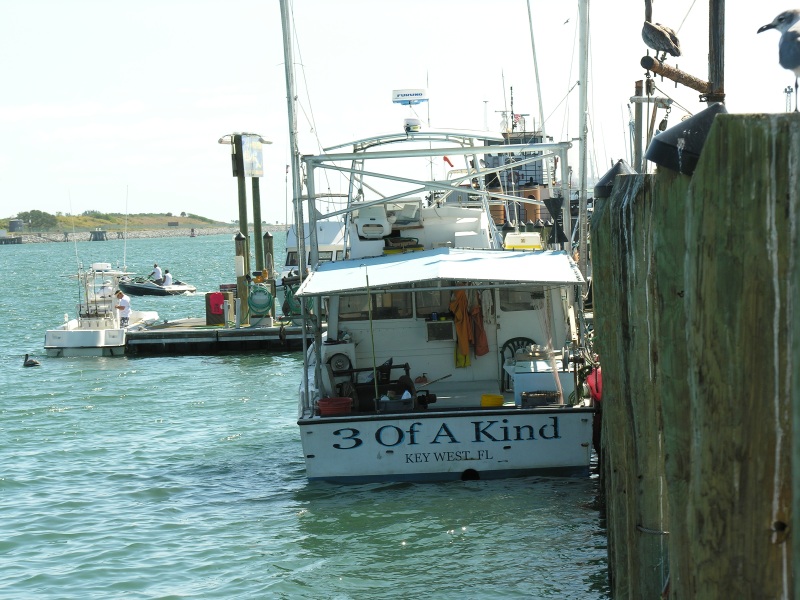 portcanaveralflorida03.jpg