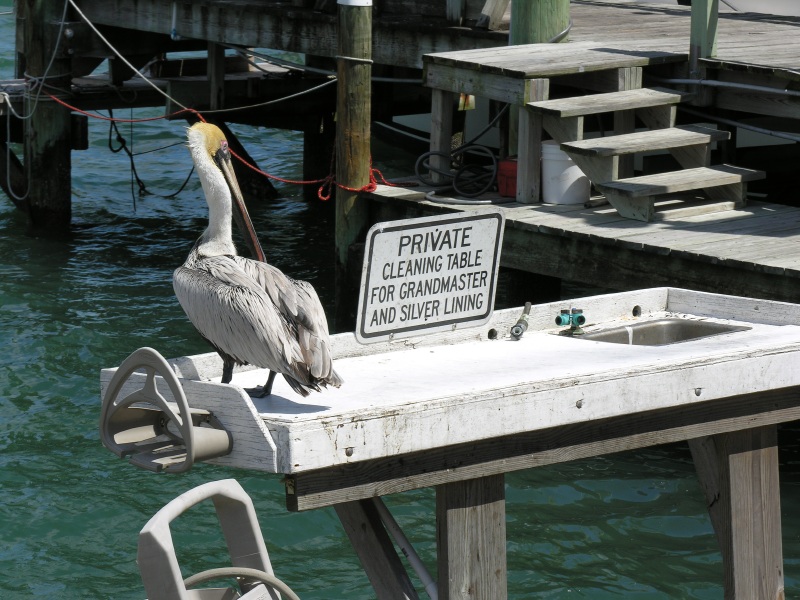 portcanaveralflorida16.jpg