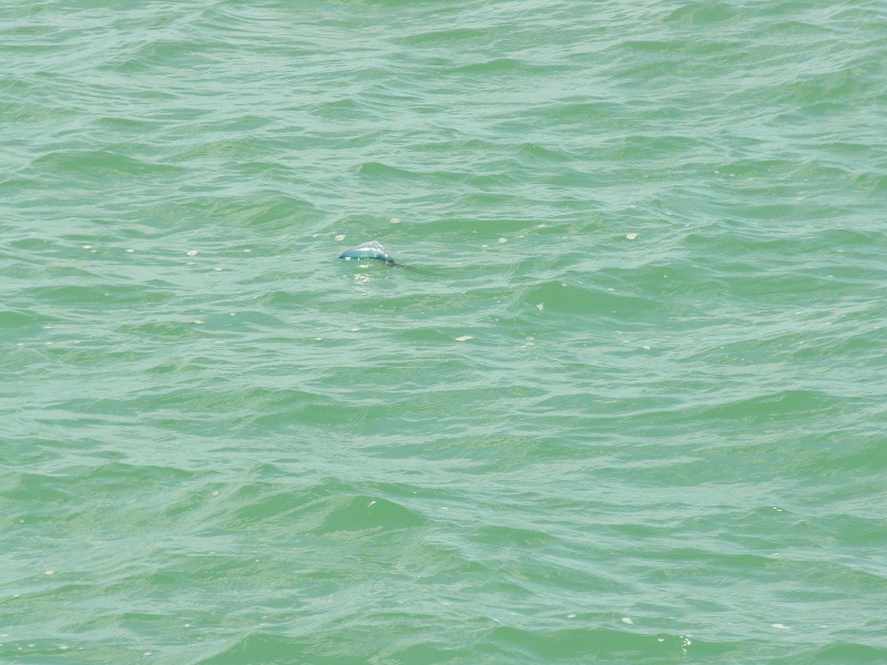 portcanaveralflorida34.jpg