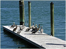 portcanaveralflorida01.jpg