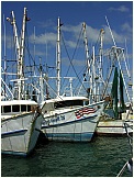 portcanaveralflorida10.jpg