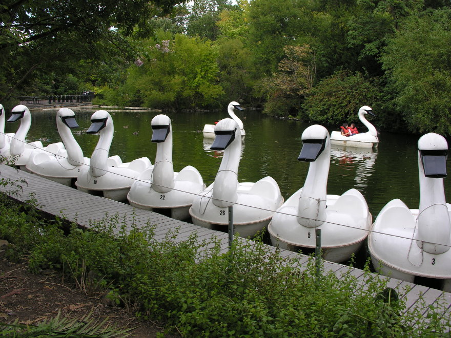 Click on image to return to index 19philadelphiazoo.jpg